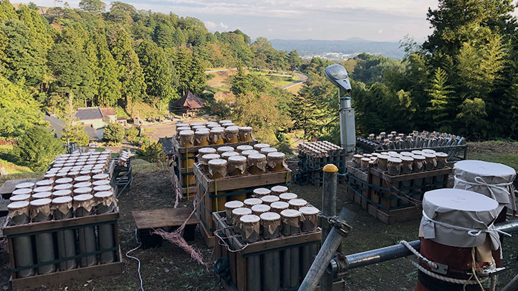 龍泉寺「やすらぎ観音」